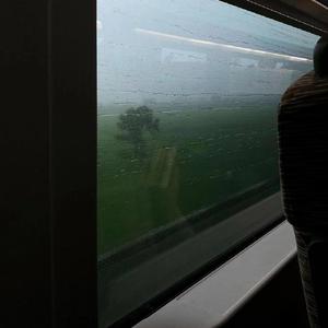 蓬莱山2023艺术献身
